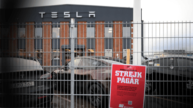 tesla