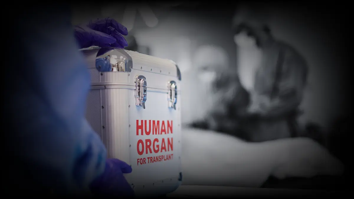 organdonatorer