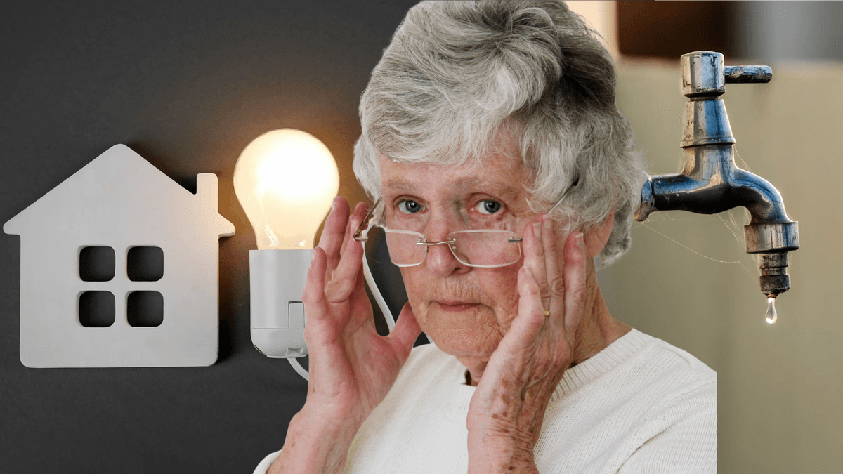 stiger