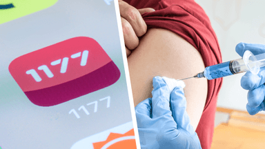 vaccinera